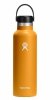 Hydro Flask STANDARD MOUTH Stalowa Butelka Termiczna do Wody 620 ml / Pomarańczowa